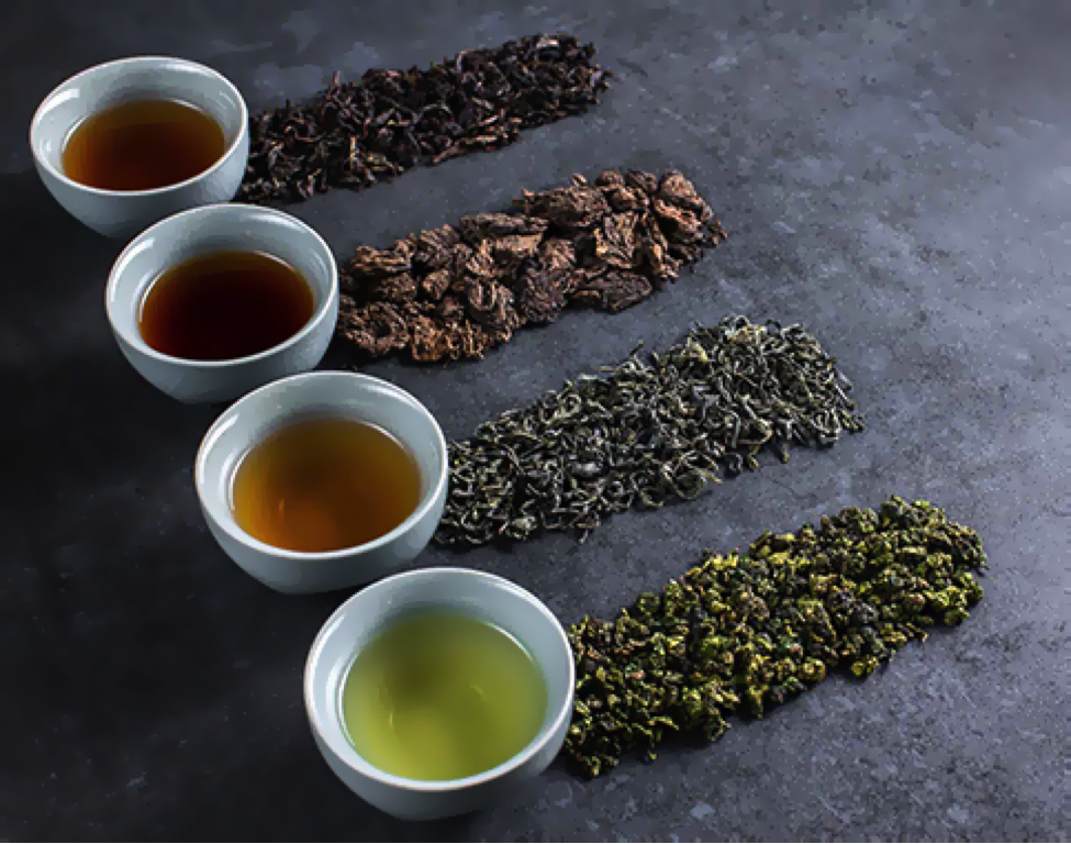 World's Most Expensive Chinese Green Tea Priced at 1,700 YUAN ($3,000 per Kilo) 